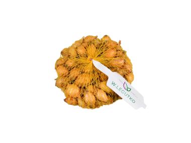 Zdjęcie: Cebula dymka Sturon 250 g LEGUTKO