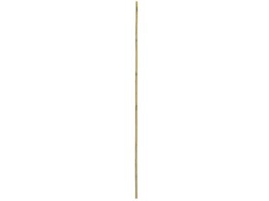 Zdjęcie: Tyczka bambusowa 120 cm RN DYSTRYBUCJA