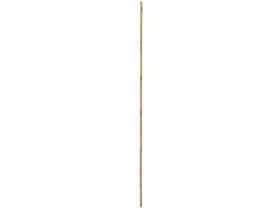 Tyczka bambusowa 120 cm RN DYSTRYBUCJA