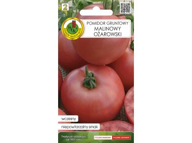 Zdjęcie: Pomidor gruntowy malinowy Ożarowski 0,5 g PNOS