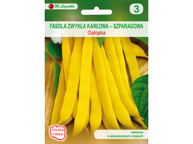 Zdjęcie: Fasola zwykła karłowa galopka nasiona tradycyjne 35 g W. LEGUTKO