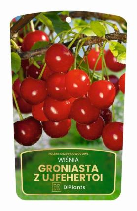 zdjęcie produktu