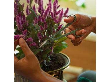 Zdjęcie: Precyzyjne nożyczki do roślin Plant Care z pojemnikiem FISKARS