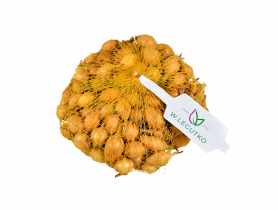 Cebula dymka Sturon 500 g LEGUTKO