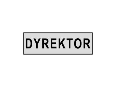 Zdjęcie: Oznaczenie "Dyrektor" 8x22 cm folia METRO