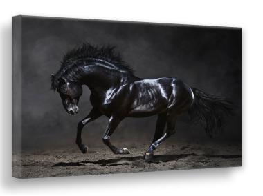 Zdjęcie: Obraz Canvas Silver1 85x113x2,8 cm Ex511 Black Horse STYLER