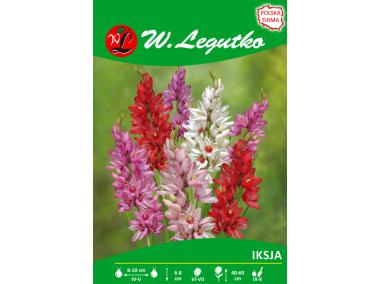 Zdjęcie: Iksja mieszanka seria tradycyjna W.LEGUTKO