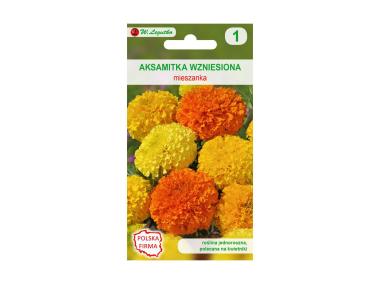 Zdjęcie: Aksamitka wzniesiona Mieszanka nasiona tradycyjne 0.8 g W. LEGUTKO