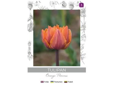 Zdjęcie: Tulipan Orange Princess pomarańczowy 3 sztuki W.LEGUTKO