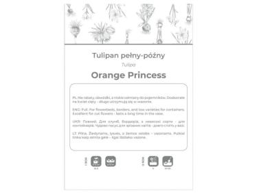 Zdjęcie: Tulipan Orange Princess pomarańczowy 3 sztuki W.LEGUTKO