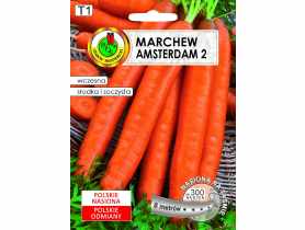 Marchew jadalna Amsterdam 2, 6 m PNOS