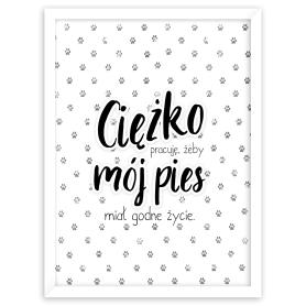 zdjęcie produktu