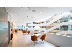 Płyta ze skalnej wełny mineralnej Blanka X 600x600x22 mm ROCKFON