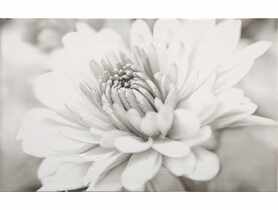 Płytka dekor Garda flower 25x40 cm CERSANIT