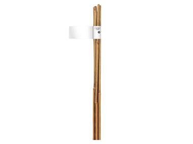 Zdjęcie: Tyczka bambusowa naturalna Bamboo fi10-12 mm x 1,2 m, naturalny NORTENE