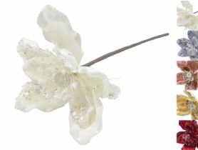 Magnolia na piku TOP GIFTS