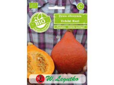 Zdjęcie: Dynia olbrzymia Uchiki Kuri pomarańczowe W. LEGUTKO