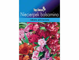 Niecierpek balsamina TOP DECOR