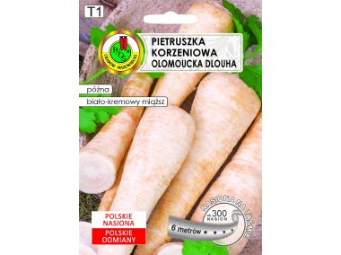 Zdjęcie: Pietruszka korzeniowa Ołomuńcka 6 m PNOS