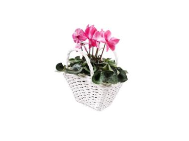Zdjęcie: Koszyk z uchwytami 29x23x16/19/28 cm biały TIN TOURS