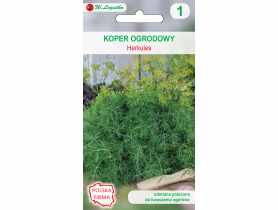 Koper ogrodowy Herkules nasiona tradycyjne 5 g W. LEGUTKO