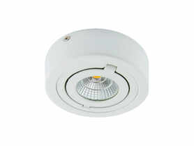 Oprawa sufitowa Cob LED Igor LED C 6 W biała 4000K STRUHM