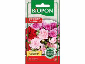Goździk Chabaud mieszanka 0,5 g BIOPON