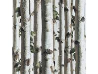 Tapeta Ugepa brzozy J21517 POLAMI