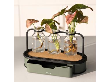 Zdjęcie: Stacja propagacji roślin Plant Care szklana z metalową podstawą FISKARS