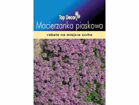Macierzanka piaskowa TOP DECOR