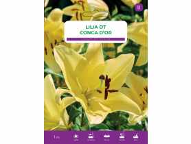 Lilia Conca Dor LEGUTKO