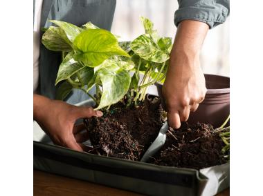 Zdjęcie: Składana mata do sadzenia roślin Plant Care zielona FISKARS
