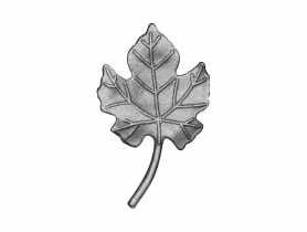 Liść wino 125 mm METRO