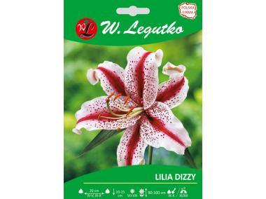 Zdjęcie: Lilia Dizzy seria tradycyjna W.LEGUTKO
