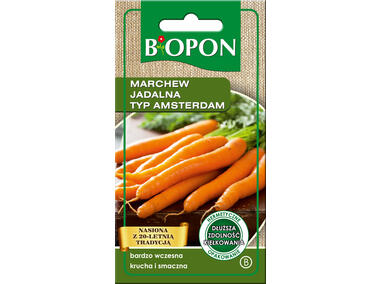 Zdjęcie: Marchew jadalna Amsterdam 3 - 4 g BIOPON