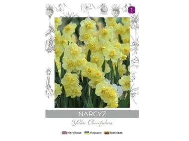 Zdjęcie: Narcyz Yellow Cheerfulness żółty 3 sztuki W.LEGUTKO