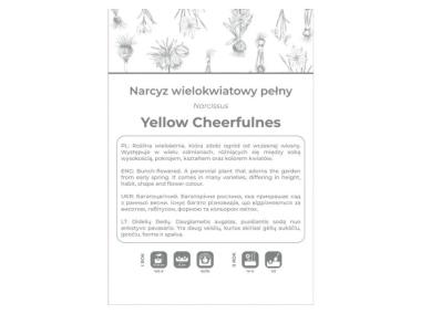 Zdjęcie: Narcyz Yellow Cheerfulness żółty 3 sztuki W.LEGUTKO