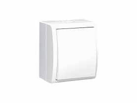 Łącznik pojedynczy natynkowy biały ECOLINE