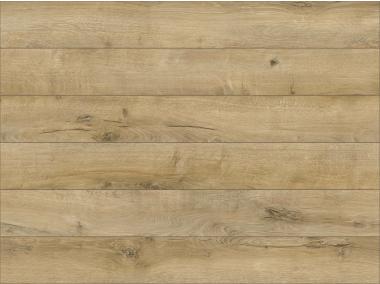 Zdjęcie: Adventure 4V Barrel Oak