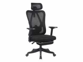 Fotel Spectrum z podnóżkiem TS INTERIOR
