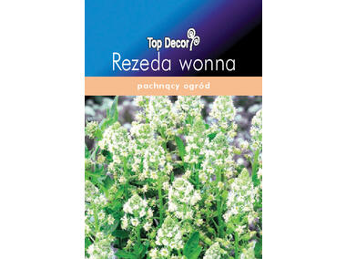 Zdjęcie: Rezeda wonna TOP DECOR