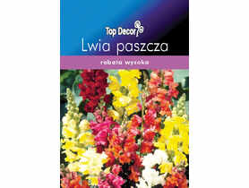Lwia paszcza TOP DECOR