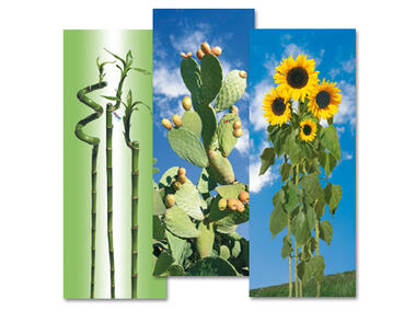 Zdjęcie: Pokrowiec bawełniany na deskę do prasowania 132x48 cm I Love Gimi ALTOMDESIGN