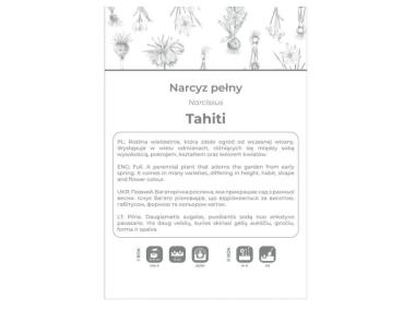 Zdjęcie: Narcyz Tahiti żółty z czerwonym środkiem 3 sztuki W.LEGUTKO