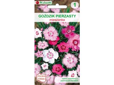 Zdjęcie: Goździk pierzasty mieszanka 0,3 g W.LEGUTKO