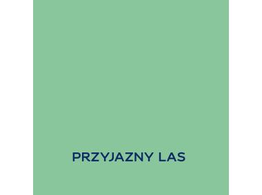 Zdjęcie: Farba lateksowa 1 L przyjazny las matowa EASYCARE DISNEY