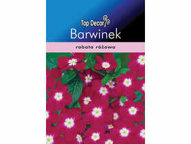 Barwinek pospolity karłowy TOP DECOR