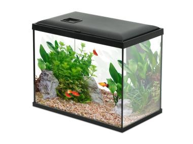 Zdjęcie: Akwarium Initio 35 z filtrem kaskadowym 30, LED, 18 L ZOLUX