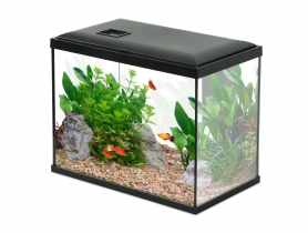 Akwarium Initio 35 z filtrem kaskadowym 30, LED, 18 L ZOLUX