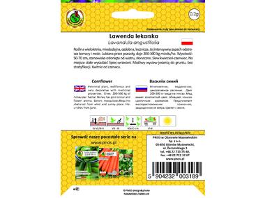Zdjęcie: Lawenda lekarska 0,2 g PNOS